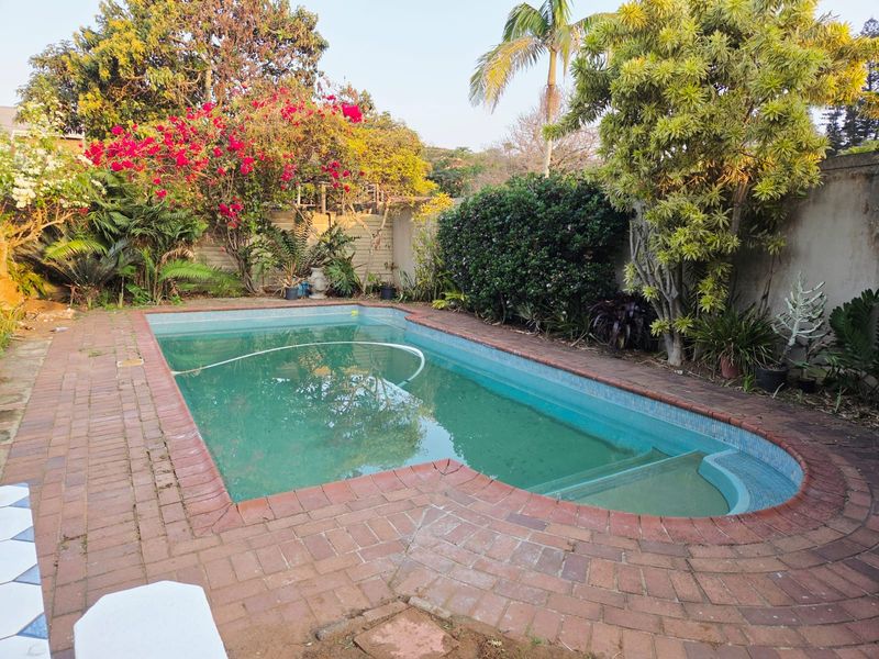 A backyard swimming pool area featuring brick paving, established garden landscaping, and a boundary wall.