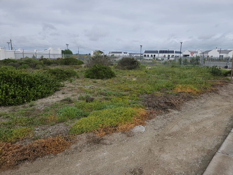 An undeveloped plot of land featuring natural vegetation, perimeter fencing with electric security, and a paved verge area.