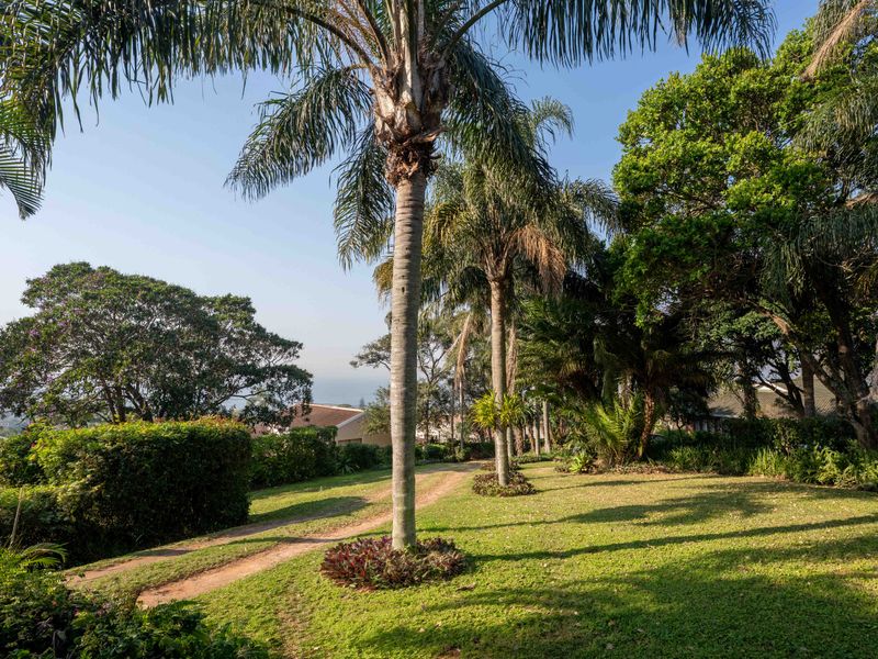 A well-maintained garden featuring mature palm trees, lush green lawn, and a gravel pathway leading through the landscaped grounds.