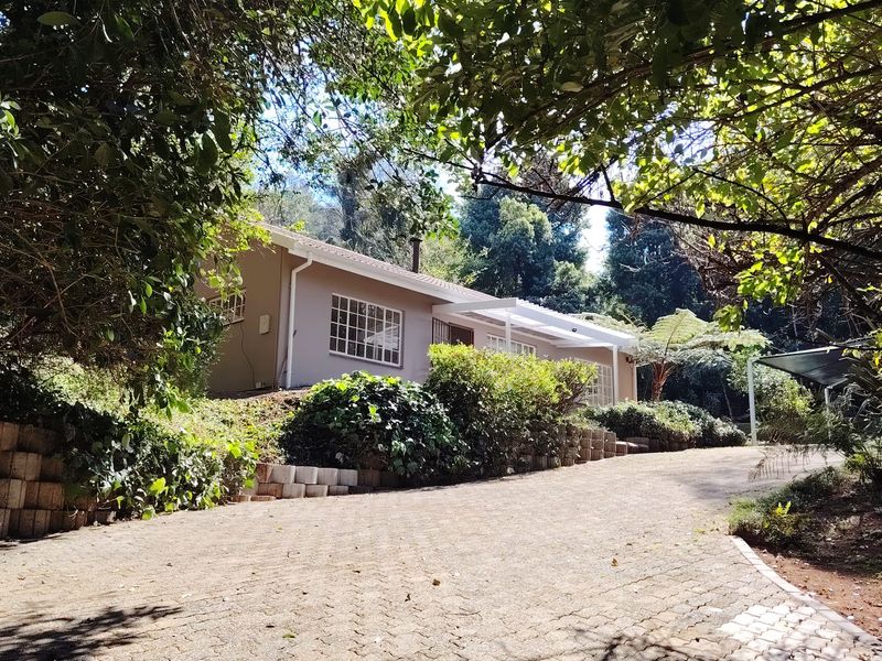 A view of the front elevation of the house featuring a paved driveway, established garden, and retaining walls set in a leafy environment.