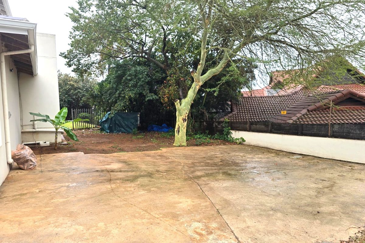 A rear outdoor area featuring a large concrete paved space, mature trees, and boundary walling, offering potential for landscaping or patio development.