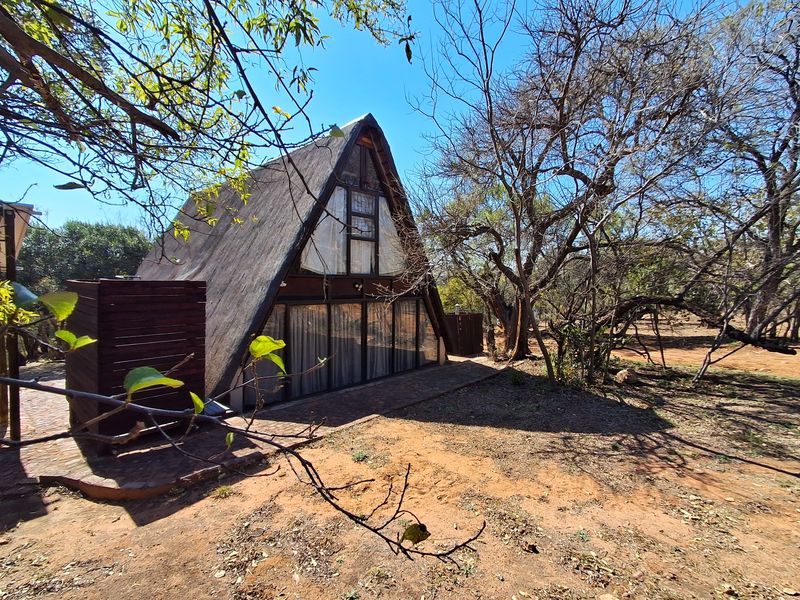 A rustic A-frame cottage featuring a traditional thatch roof, set within a natural, wooded garden environment with brick-paved pathways.