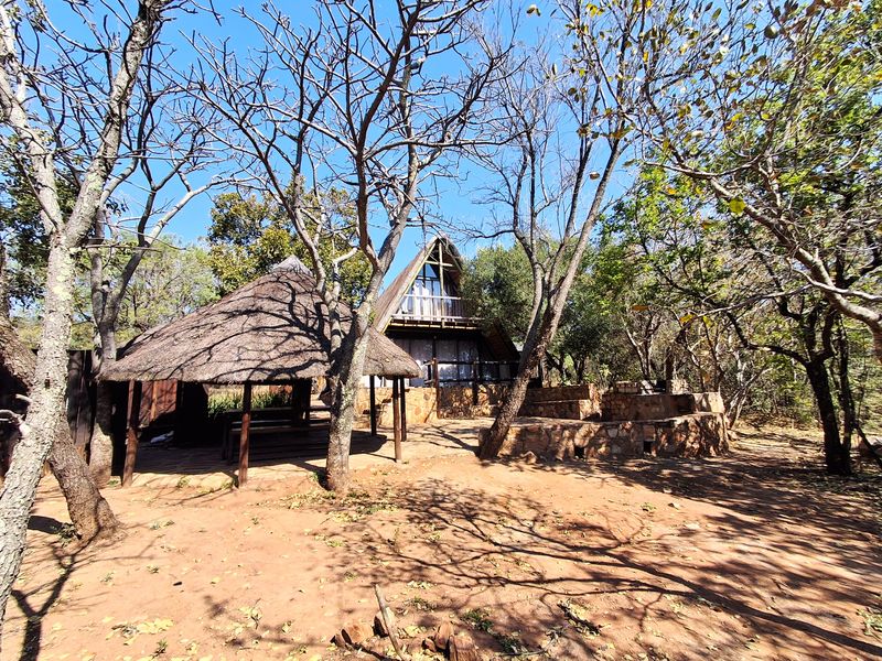 A rustic A-frame house featuring a thatched lapa and stone masonry landscaping, set within a natural wooded environment.