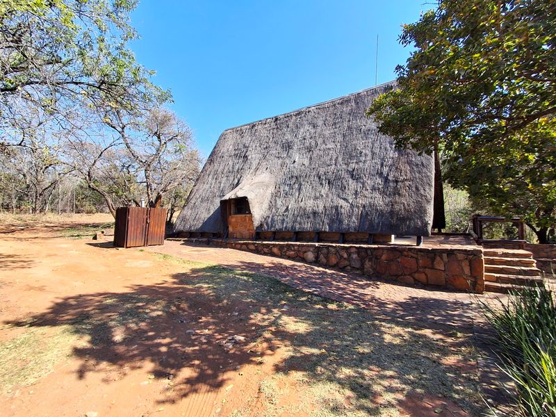 A rustic house exterior featuring a prominent thatched roof, stone wall cladding, and a paved entrance area set within a natural bushveld environment.