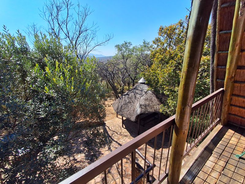 Elevated timber balcony overlooking a natural garden setting with a traditional thatched gazebo and stone-paved outdoor area.