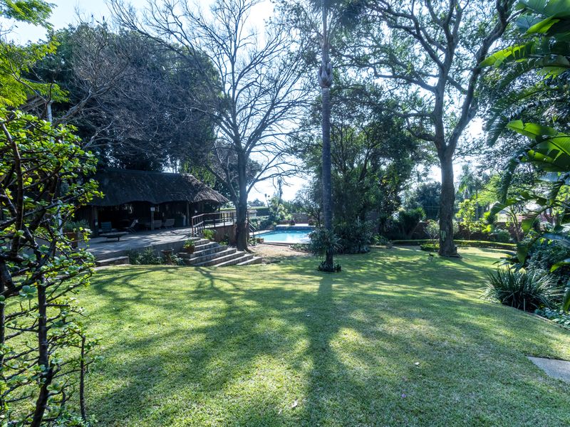 A lush, expansive garden featuring a swimming pool, mature trees, and a covered thatched patio area with stone steps.