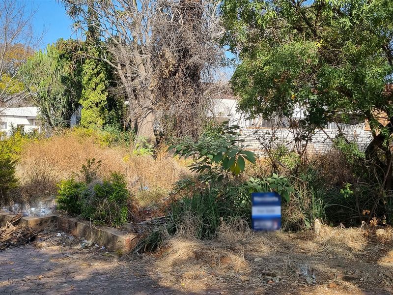 A view of a residential vacant land plot featuring mature trees, a paved driveway, and a retaining wall, currently requiring significant clearing and maintenance.
