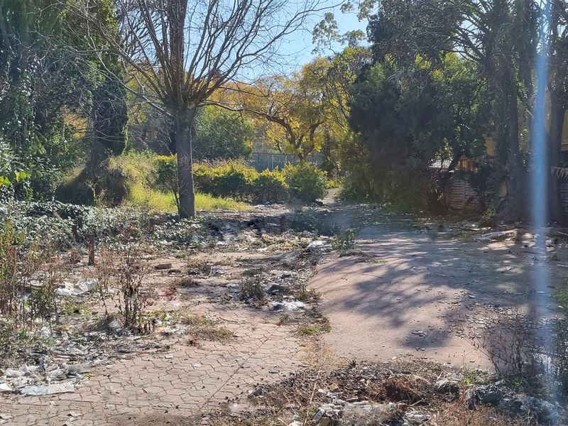 Available on Stanza Bopape – Ready to Develop – Close to Festival Street! - Photo 6