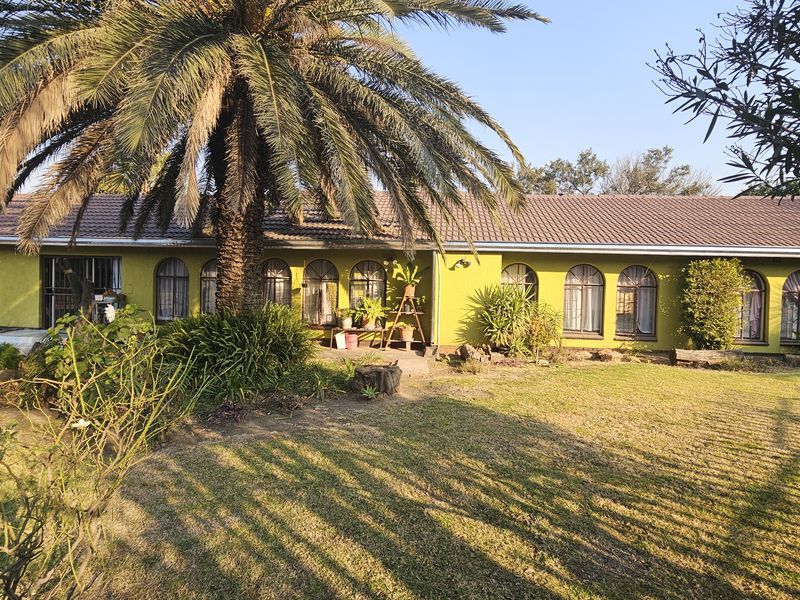 Rear view of a single-story house featuring a tiled roof, arched windows, and a large garden with a mature palm tree.