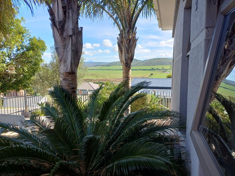 A scenic view overlooking green fields and rolling hills, framed by mature palm trees and the side of the property structure.