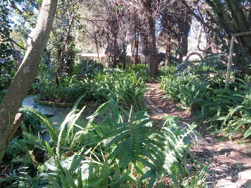 Income-Generating Country Retreat – 7 Garden Cottages | Escape the City, Secure Your Future - Photo 10