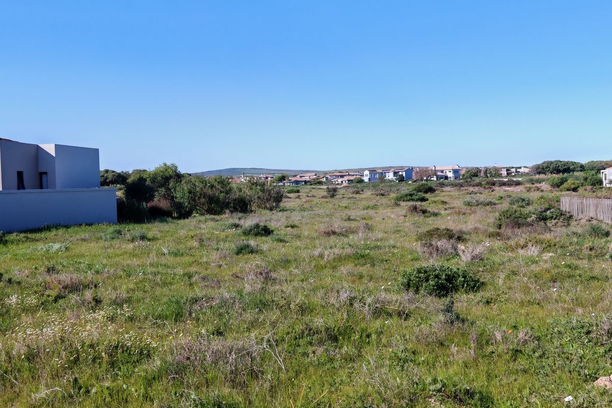 A view of a vacant residential plot featuring natural vegetation and a boundary wall, situated in a developed neighborhood.