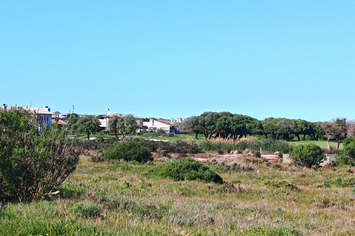 A scenic view of the vacant residential land featuring natural coastal vegetation, mature trees, and surrounding neighborhood landscape.