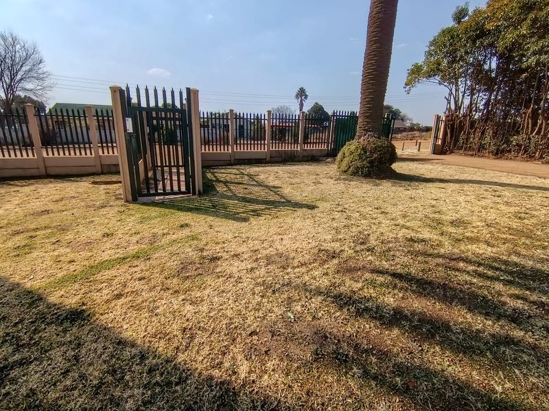 A spacious garden area featuring a mature palm tree, enclosed by secure metal perimeter fencing and a pedestrian gate.