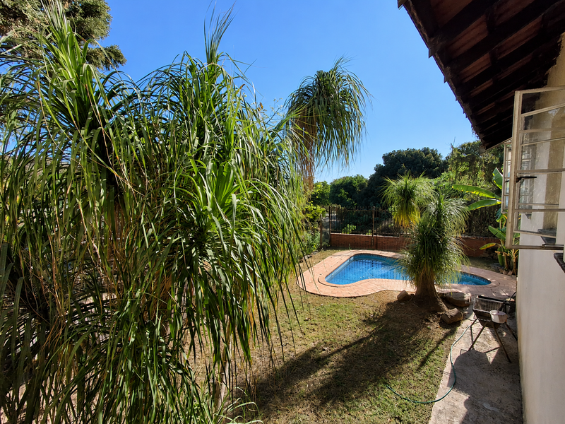 A backyard view featuring a kidney-shaped swimming pool with brick coping, surrounded by a lawn and mature garden foliage.