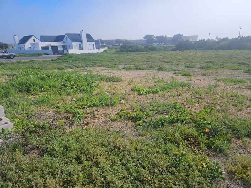 Exclusive Mandate | Prime Vacant Stand in Peaceful St Helena Da Gama Bay - Photo 8