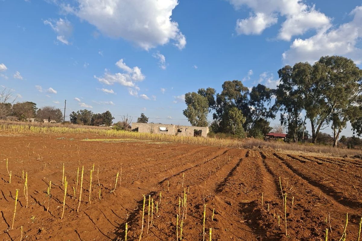 Expansive agricultural land featuring a partially constructed masonry building shell, suitable for small-scale farming or future development projects.