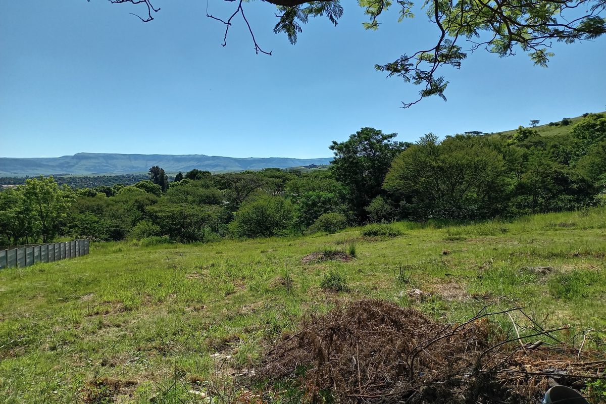 A scenic view overlooking a sloped residential plot with mature trees and distant mountain vistas.