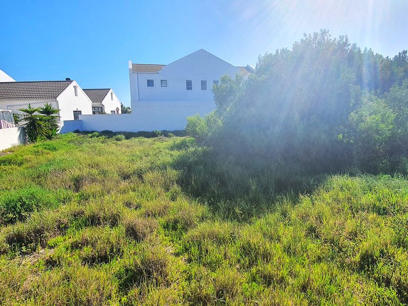 A view of a vacant residential plot featuring natural vegetation and surrounding boundary walls in a developed neighborhood.
