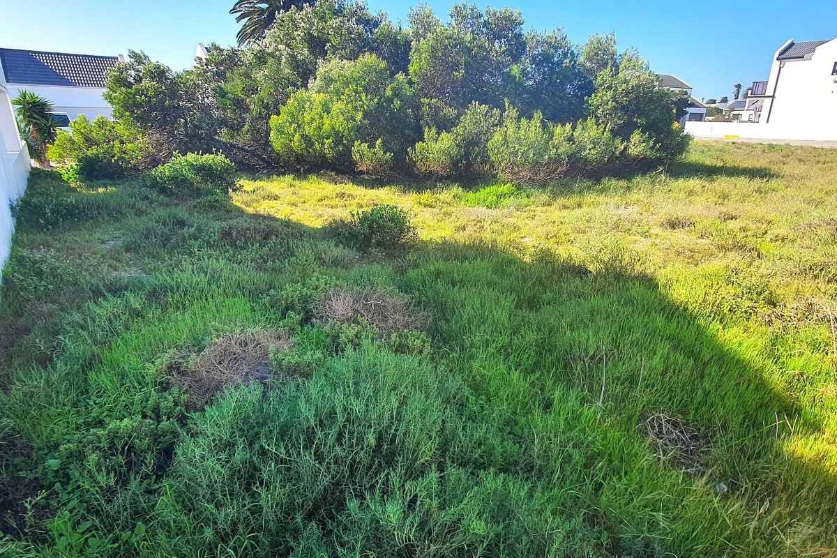 A vacant residential plot featuring natural vegetation and a boundary wall, offering a blank canvas for future development.