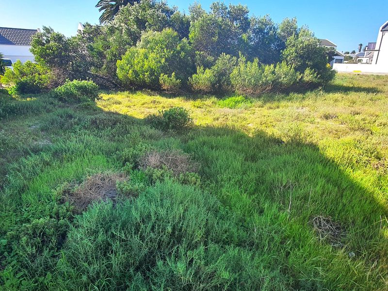 A vacant residential plot featuring natural vegetation and a boundary wall, offering a blank canvas for future development.