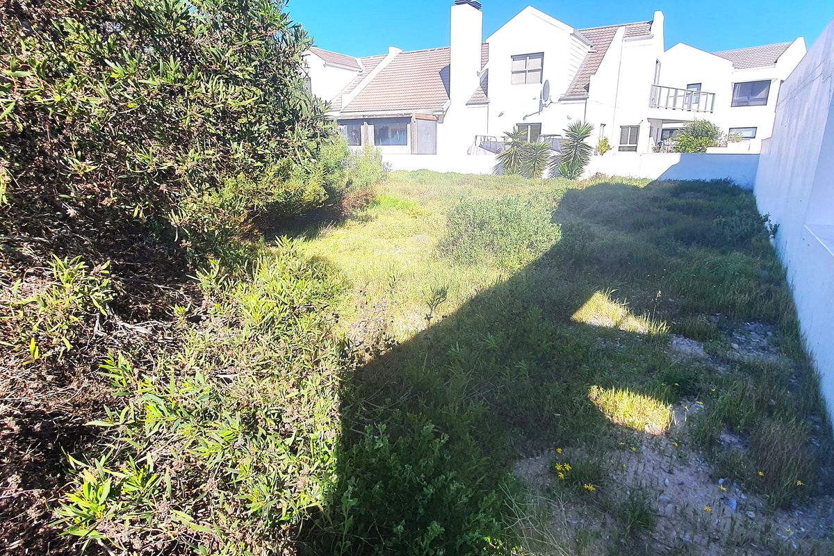 A vacant residential plot featuring overgrown vegetation and a boundary wall, offering potential for landscaping or development.