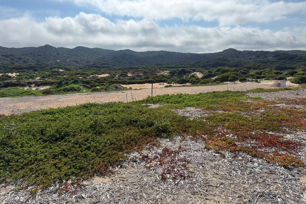 A scenic view of the natural coastal landscape and rolling hills, showcasing the undeveloped terrain of the residential land.