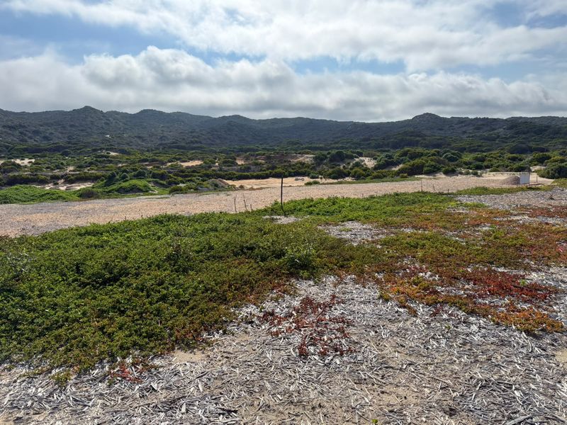 A scenic view of the natural coastal landscape and rolling hills, showcasing the undeveloped terrain of the residential land.
