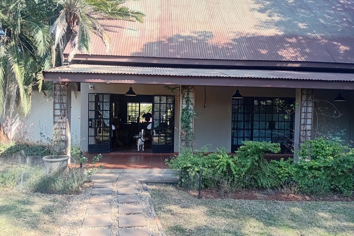 Rear view of the house featuring a covered patio with terracotta tiling, corrugated metal roofing, and direct access through french doors to the garden.
