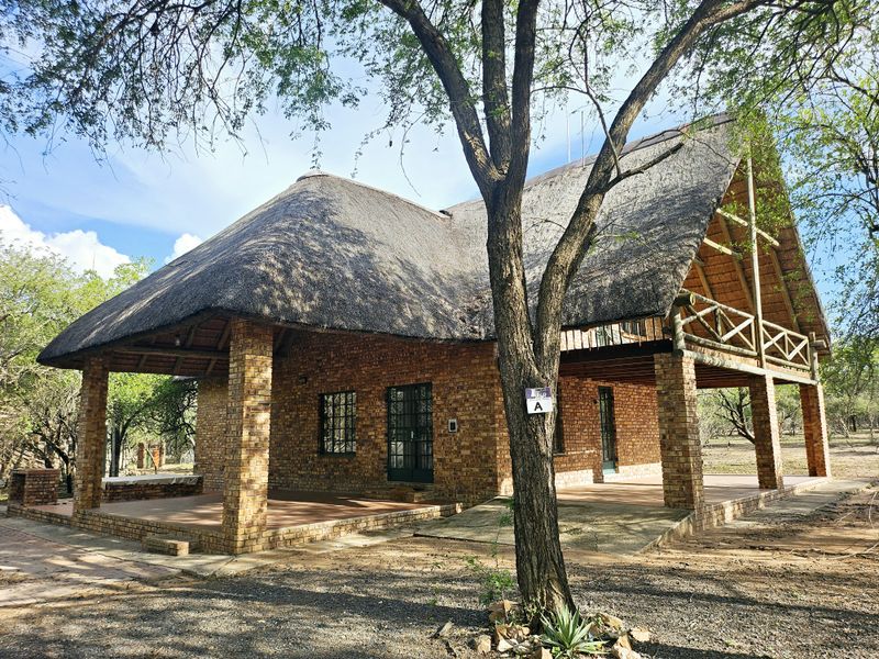 A charming face-brick house featuring a traditional thatched roof, expansive covered patio, and a wooden balcony, set within a natural bushveld environment.