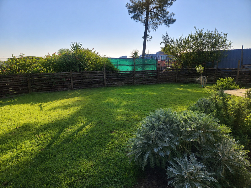 A well-maintained private garden featuring a lush green lawn and a rustic wooden perimeter fence.