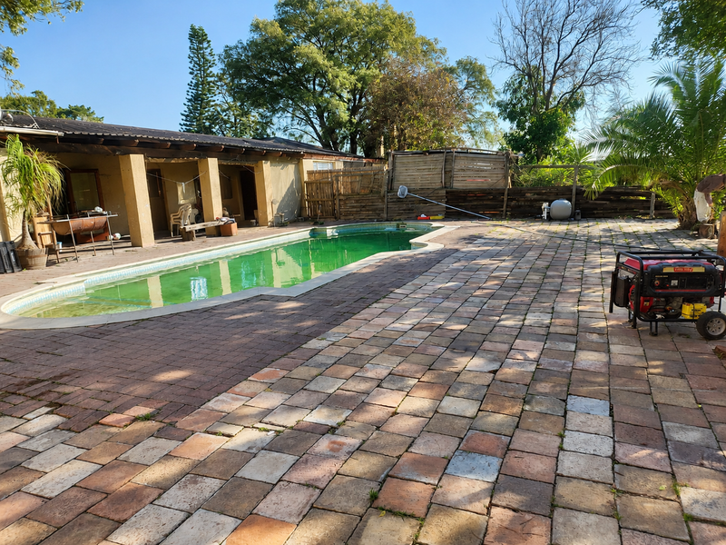 Outdoor pool area featuring a paved patio, covered veranda, and swimming pool, set within a garden space with mature trees.