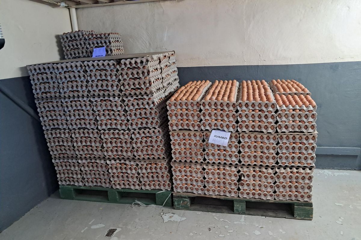 A utility storage area with concrete flooring and painted walls, currently utilized for bulk storage of egg crates.