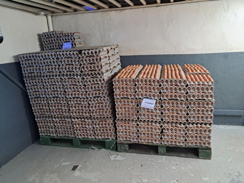 A utility storage area with concrete flooring and painted walls, currently utilized for bulk storage of egg crates.