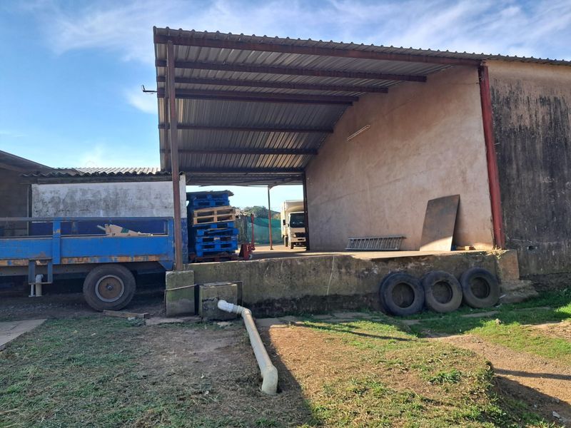 An open-sided utility or loading bay area featuring a corrugated metal roof, steel structure, and a raised concrete platform on a small holding.