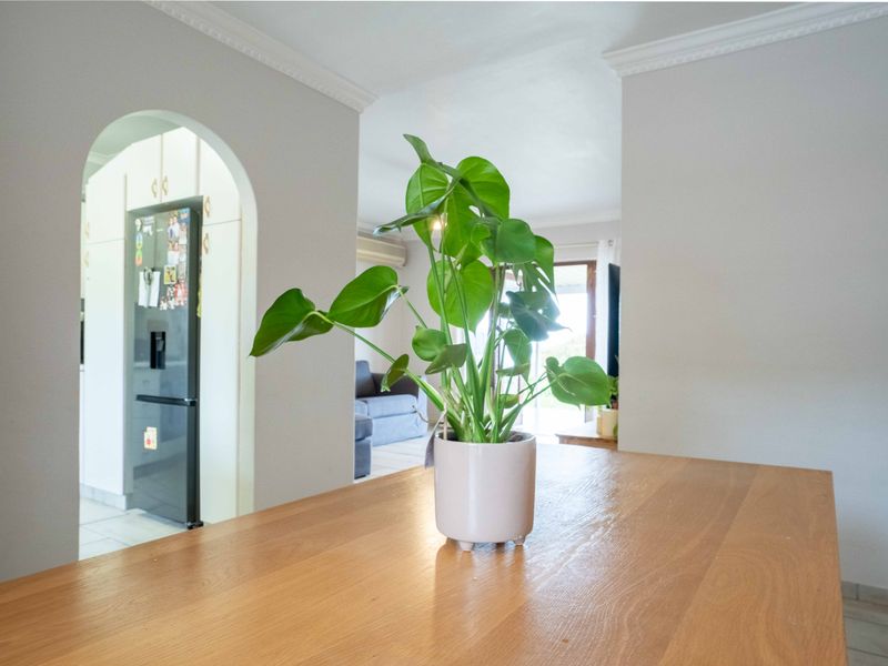 Coastal Living with Beautiful Sea Views in the Heart of Warner Beach - Photo 4