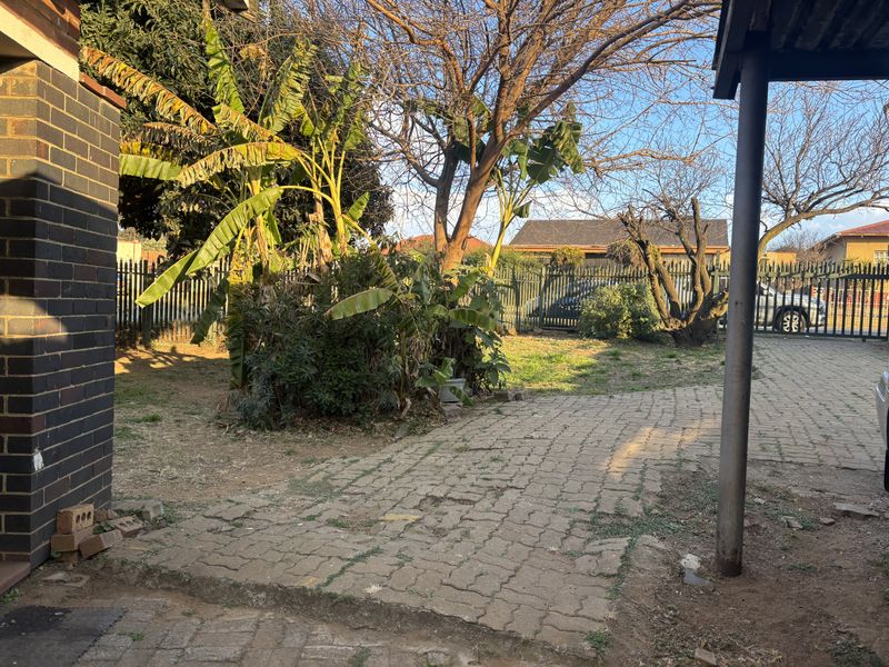 A rear outdoor area featuring a paved driveway, metal perimeter fencing, and established garden beds with mature trees.
