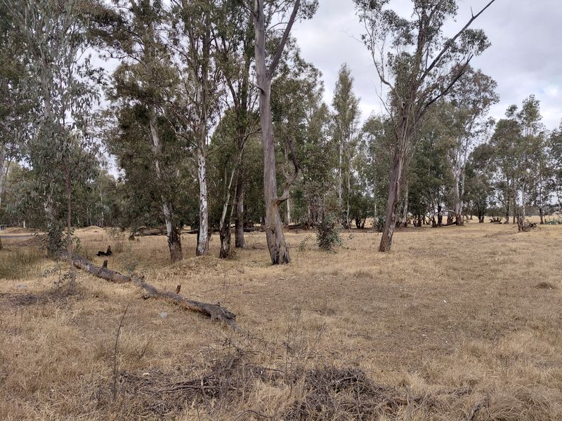 Vacant land For Sale in Ballengeich - Photo 1