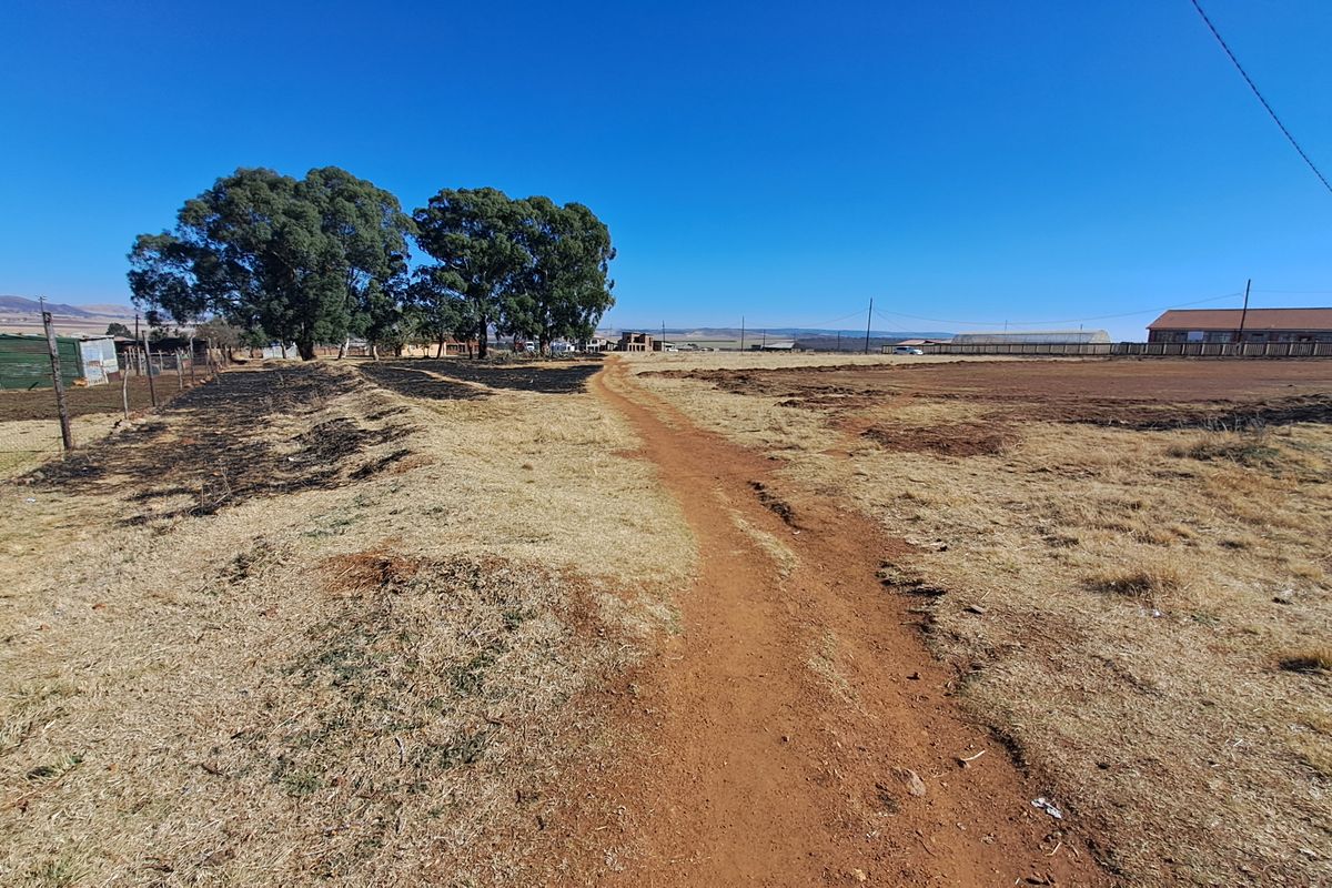 A wide-angle view of a vacant residential plot featuring dry grass, a dirt path, and mature trees under a clear blue sky.