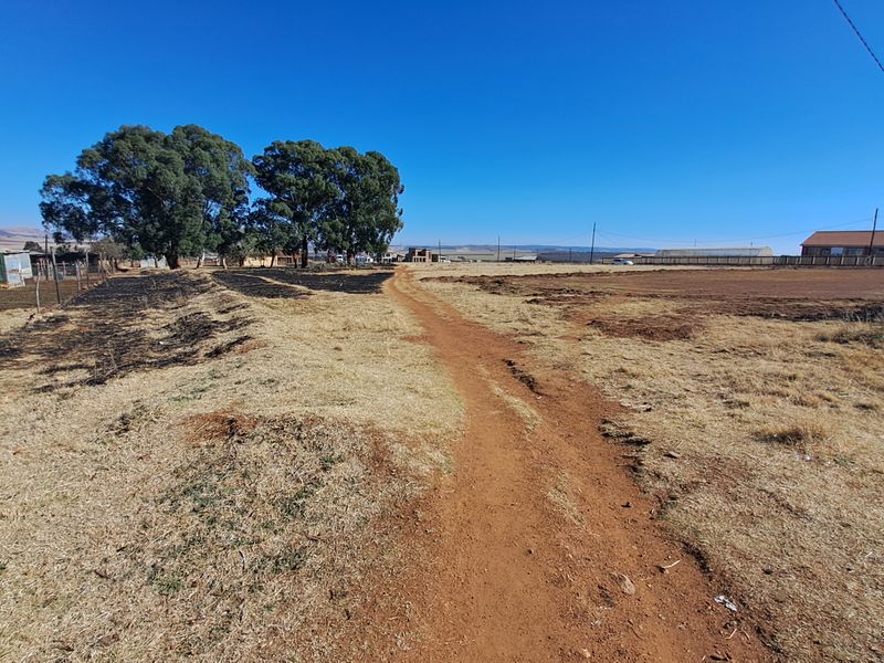 A wide-angle view of a vacant residential plot featuring dry grass, a dirt path, and mature trees under a clear blue sky.