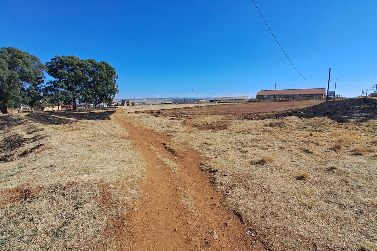 A wide-angle view of a vacant residential plot featuring a dirt path, mature trees, and surrounding landscape.