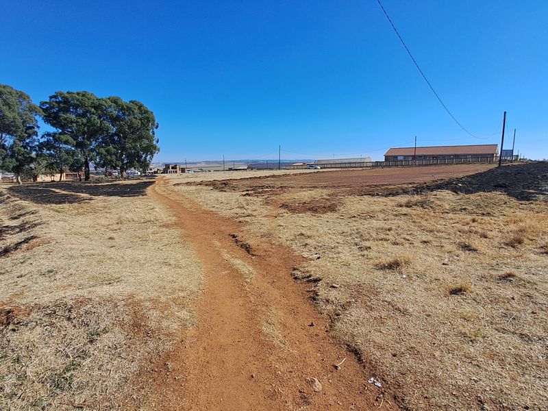 A wide-angle view of a vacant residential plot featuring a dirt path, mature trees, and surrounding landscape.