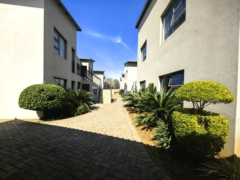 A well-maintained paved walkway between apartment blocks featuring landscaped shrubs and external building access points.