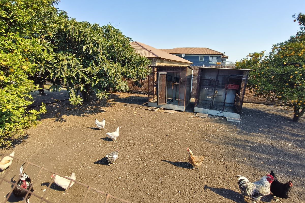 A residential garden area featuring mature fruit trees, wire fencing, and existing metal animal enclosures on the property grounds.