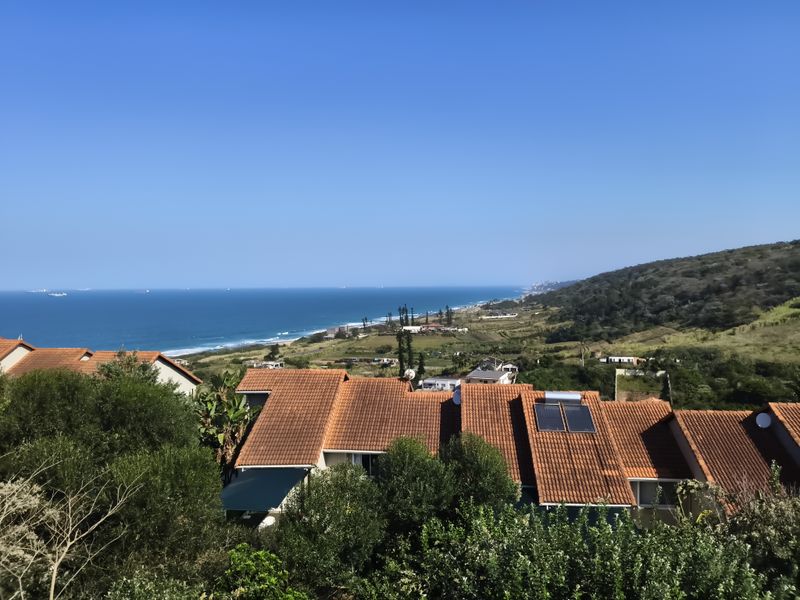 Elevated coastal view overlooking residential rooftops, lush greenery, and the ocean horizon under a clear blue sky.