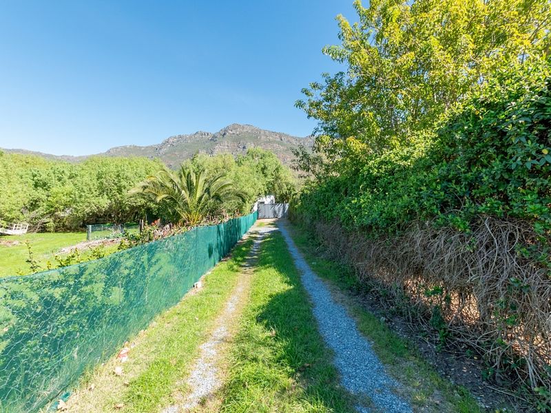 A gravel driveway leading towards a gated entrance, flanked by established hedging and mesh fencing with mountain views in the background.