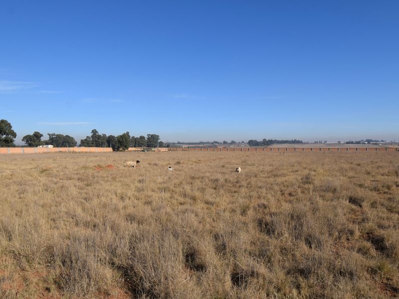 Live Luxury Non-Distressed Auction - Starting to bid from R1250,000-00! - Photo 9