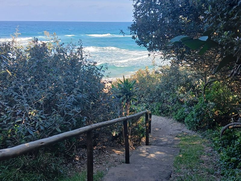 A scenic pathway with concrete stairs and a wooden handrail leading towards a beautiful ocean view.