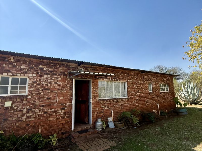 Exterior view of a single-story apartment featuring exposed brick walls, corrugated metal roofing, and grid-pattern windows set within a garden area.