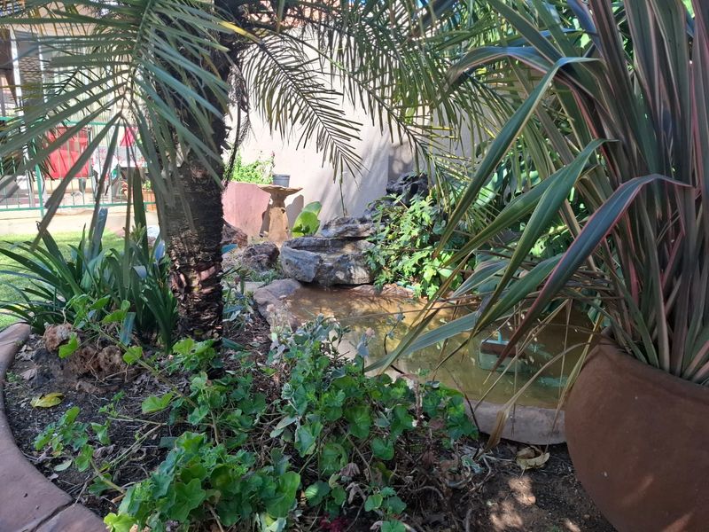 A landscaped garden area featuring a stone water feature and pond, surrounded by established palm trees and various garden plants.